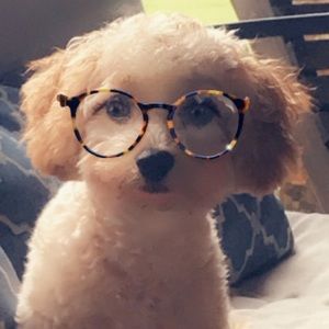 Meet your Posher, Gina